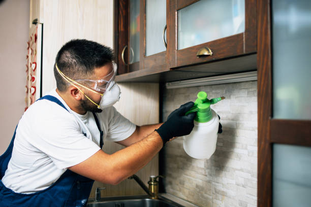 Best Residential Pest Control  in Whitewright, TX