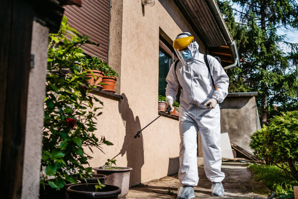 Best Flea Control Services  in Whitewright, TX