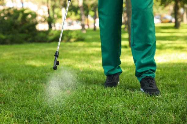 Best Local Pest Control Services  in Whitewright, TX