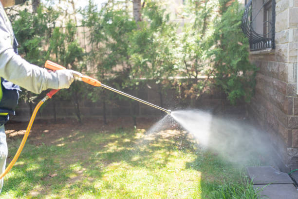 Best Rat Extermination Near Me  in Whitewright, TX