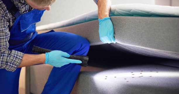 Best Bed Bug Extermination  in Whitewright, TX